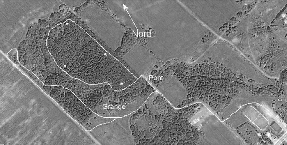 Sentier de raquettes