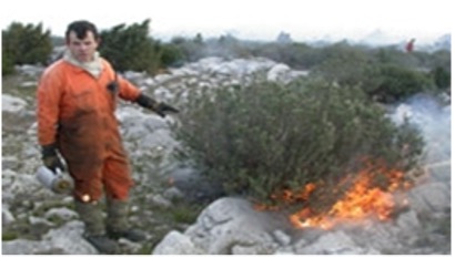 Permis de br&ucirc;lage